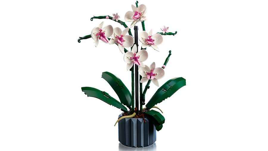 LEGO® 10311 - Icons Orchidee (608 Teile)